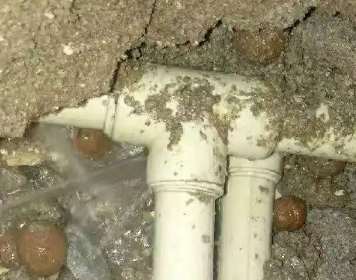 定结测漏水多少钱