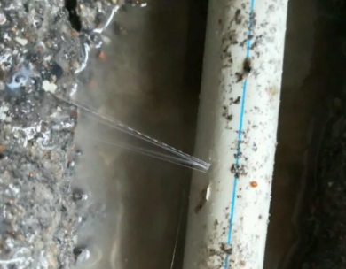 定结测漏水哪家好