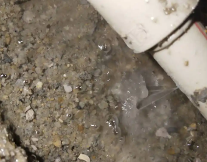 定结测漏水电话号码