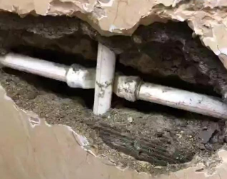 定结测漏水哪家好