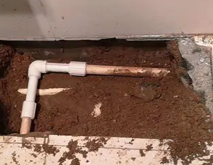 定结测漏水哪家好