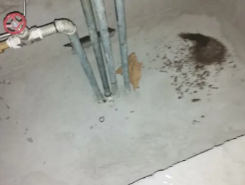 定结卫生间测漏水价格明细