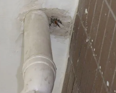 定结漏水检测哪家好